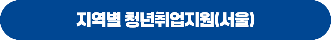 지역별 청년일자리정책 및 지원사업(서울청)