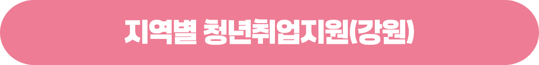 지역별 청년일자리정책 및 지원사업(강원지청)