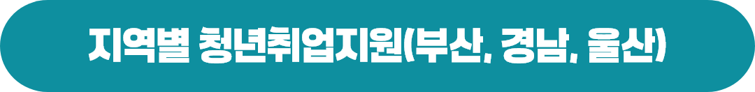 지역별 청년일자리정책 및 지원사업(부산청)