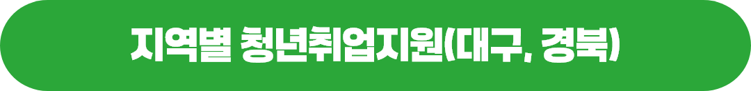 지역별 청년일자리정책 및 지원사업(대구청)