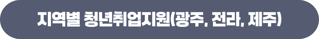 지역별 청년일자리정책 및 지원사업(광주청)