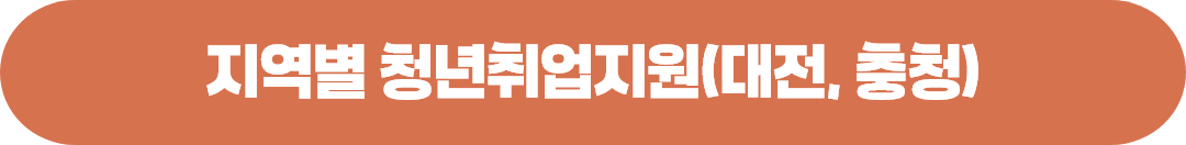 지역별 청년일자리정책 및 지원사업(대전청)